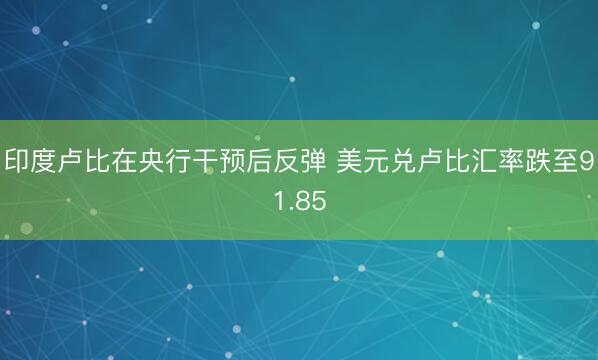 印度卢比在央行干预后反弹 美元兑卢比汇率跌至91.85