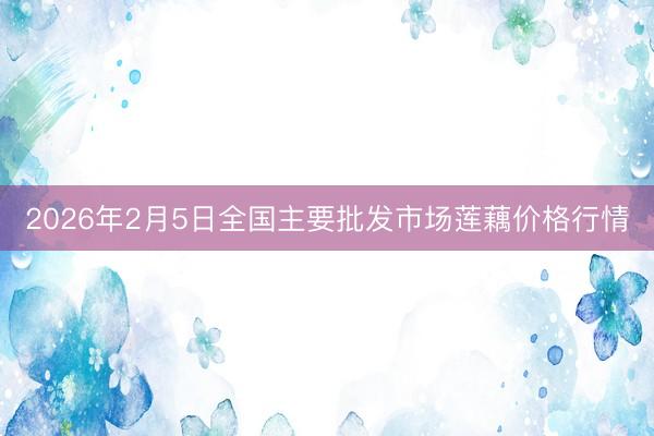 2026年2月5日全国主要批发市场莲藕价格行情