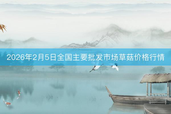 2026年2月5日全国主要批发市场草菇价格行情