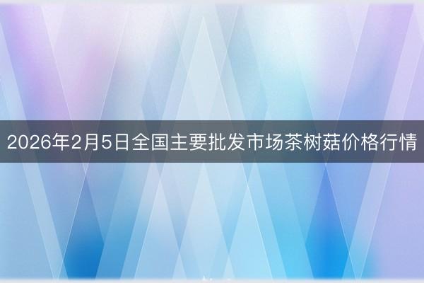 2026年2月5日全国主要批发市场茶树菇价格行情