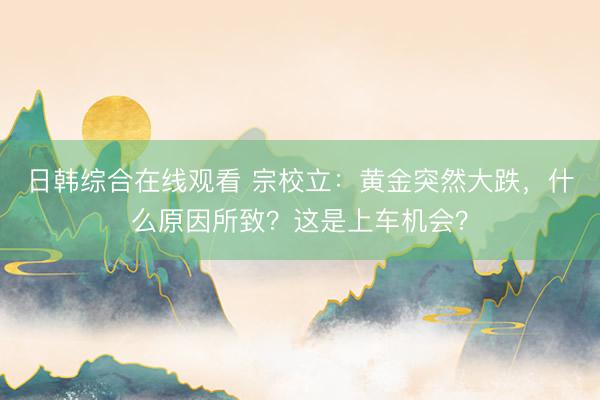 日韩综合在线观看 宗校立：黄金突然大跌，什么原因所致？这是上车机会？