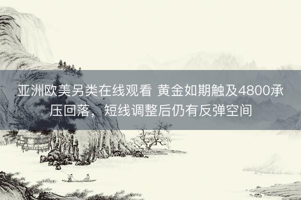 亚洲欧美另类在线观看 黄金如期触及4800承压回落，短线调整后仍有反弹空间