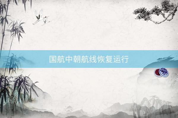 国航中朝航线恢复运行