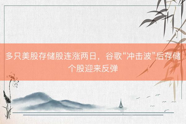 多只美股存储股连涨两日，谷歌“冲击波”后存储个股迎来反弹