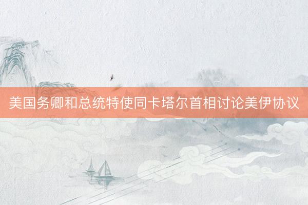 美国务卿和总统特使同卡塔尔首相讨论美伊协议