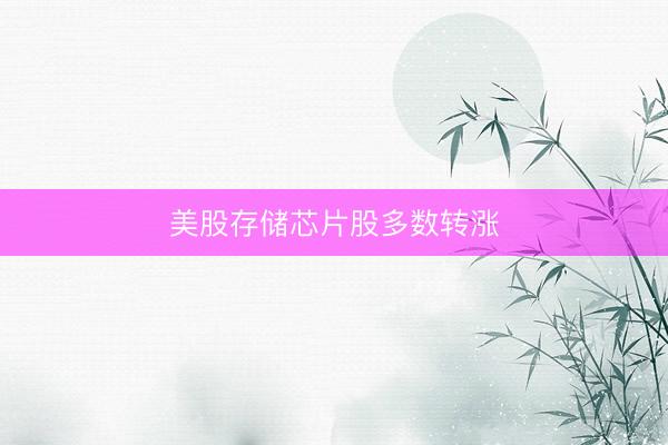 美股存储芯片股多数转涨