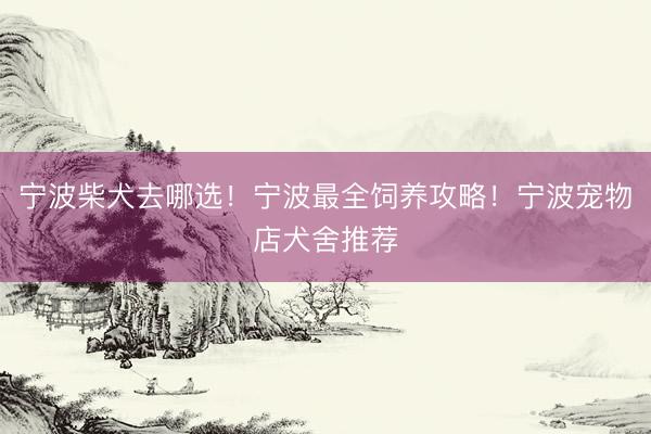 宁波柴犬去哪选！宁波最全饲养攻略！宁波宠物店犬舍推荐
