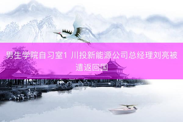 男生学院自习室1 川投新能源公司总经理刘亮被遣返回国