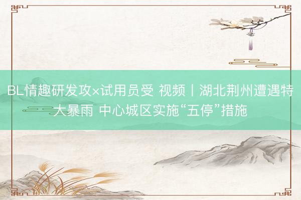 BL情趣研发攻×试用员受 视频丨湖北荆州遭遇特大暴雨 中心城区实施“五停”措施