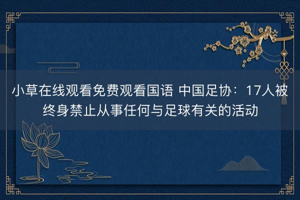 小草在线观看免费观看国语 中国足协：17人被终身禁止从事任何与足球有关的活动