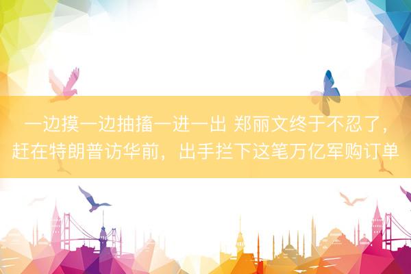 一边摸一边抽搐一进一出 郑丽文终于不忍了，赶在特朗普访华前，出手拦下这笔万亿军购订单