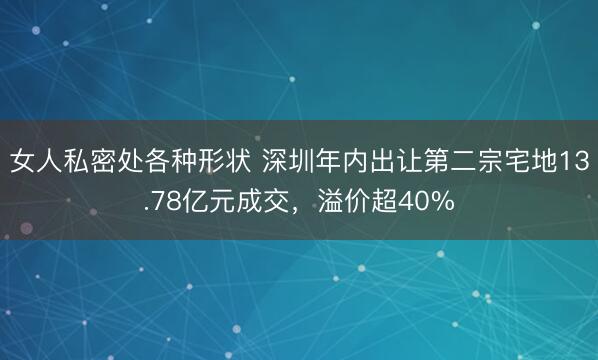 女人私密处各种形状 深圳年内出让第二宗宅地13.78亿元成交，溢价超40%