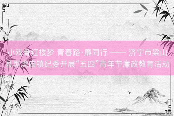 小戏骨红楼梦 青春路·廉同行 —— 济宁市梁山县黑虎庙镇纪委开展“五四”青年节廉政教育活动