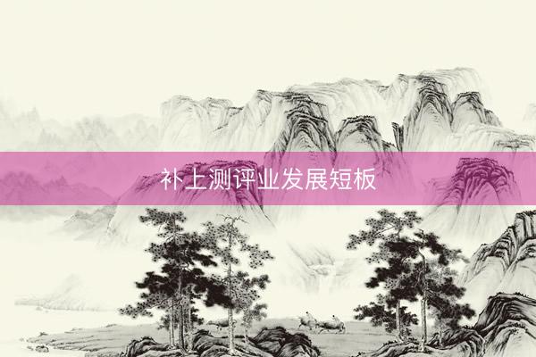 补上测评业发展短板