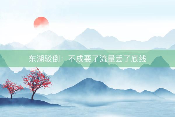 东湖驳倒：不成要了流量丢了底线