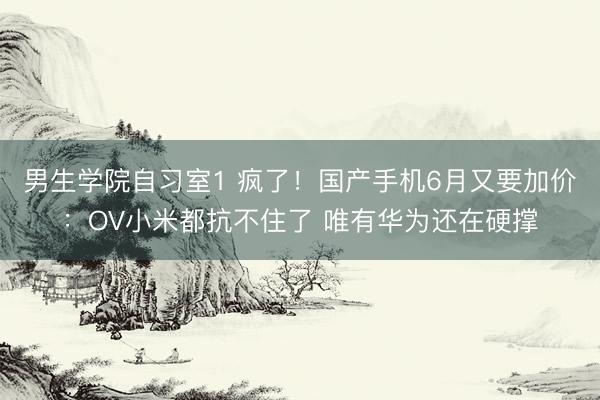男生学院自习室1 疯了！国产手机6月又要加价：OV小米都抗不住了 唯有华为还在硬撑