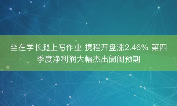 坐在学长腿上写作业 携程开盘涨2.46% 第四季度净利润大幅杰出阛阓预期