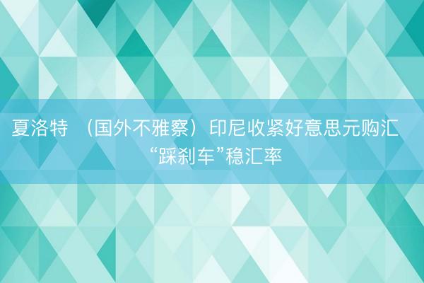 夏洛特 （国外不雅察）印尼收紧好意思元购汇   “踩刹车”稳汇率