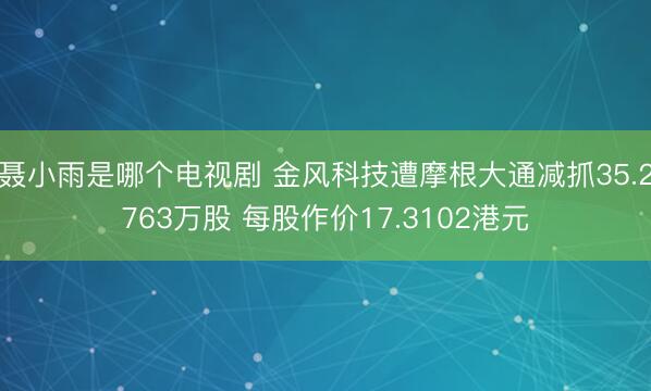 聂小雨是哪个电视剧 金风科技遭摩根大通减抓35.2763万股 每股作价17.3102港元