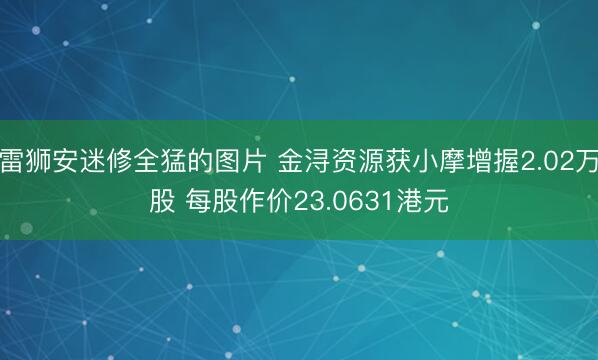 雷狮安迷修全猛的图片 金浔资源获小摩增握2.02万股 每股作价23.0631港元