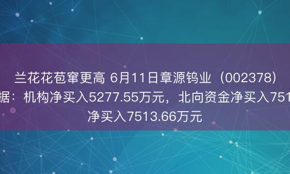 兰花花苞窜更高 6月11日章源钨业（002378）龙虎榜数据：机构净买入5277.55万元，北向资金净买入7513.66万元