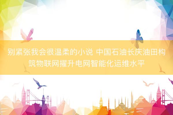 别紧张我会很温柔的小说 中国石油长庆油田构筑物联网擢升电网智能化运维水平