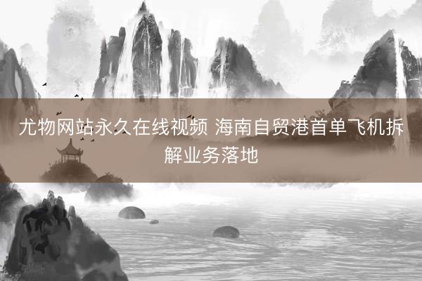尤物网站永久在线视频 海南自贸港首单飞机拆解业务落地