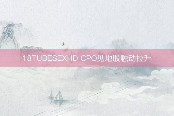 18TUBESEXHD CPO见地股触动拉升