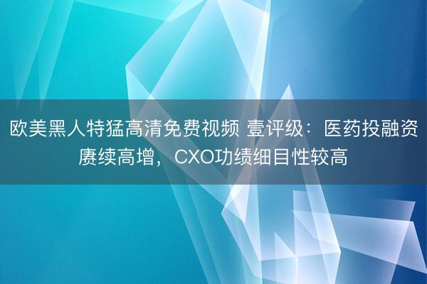 欧美黑人特猛高清免费视频 壹评级:医药投融资赓续高增,CXO功绩细目性较高