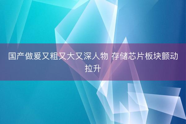 国产做爰又粗又大又深人物 存储芯片板块颤动拉升