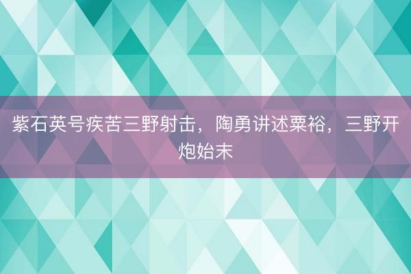 紫石英号疾苦三野射击，陶勇讲述粟裕，三野开炮始末