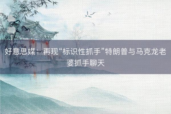 好意思媒：再现“标识性抓手”特朗普与马克龙老婆抓手聊天