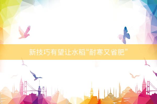 新技巧有望让水稻“耐寒又省肥”
