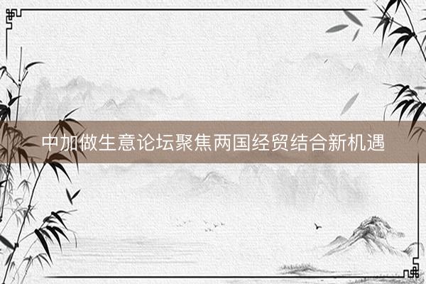 中加做生意论坛聚焦两国经贸结合新机遇