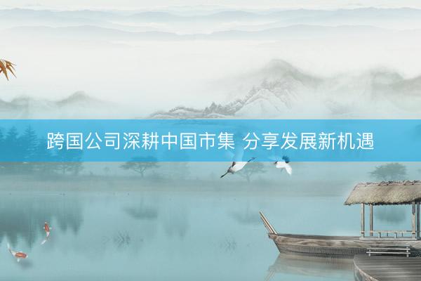 跨国公司深耕中国市集 分享发展新机遇